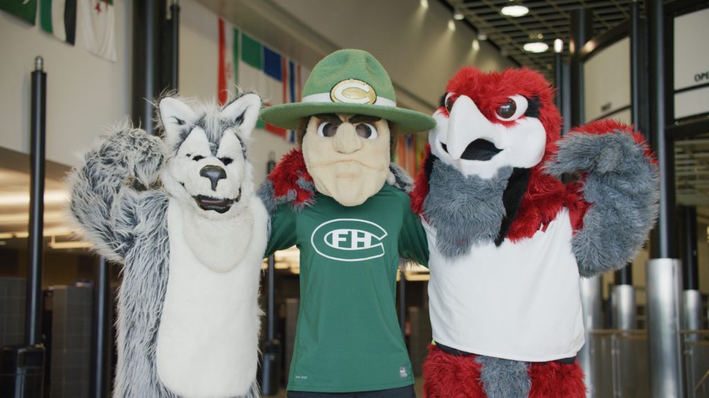 Three high school mascots, husky, ranger, hawk