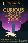 promotional image for the Curious Incident of the Dog in the Night time