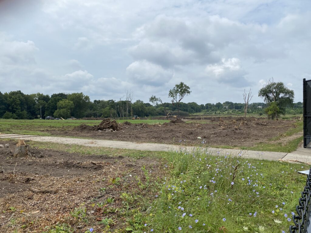 field being plowed