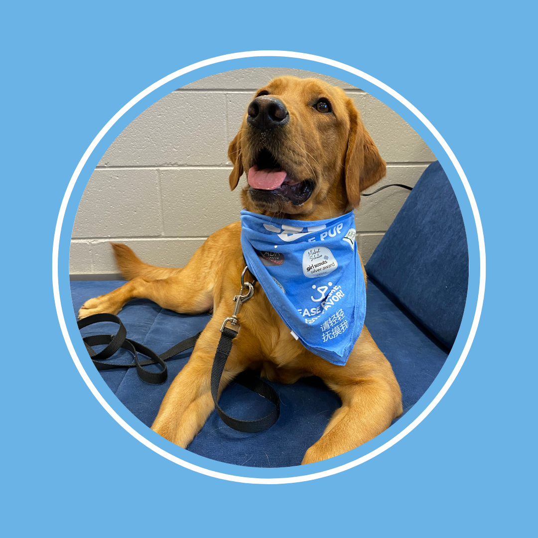 School Support Dogs: FHPS PRIDE Pups - Forest Hills Public Schools
