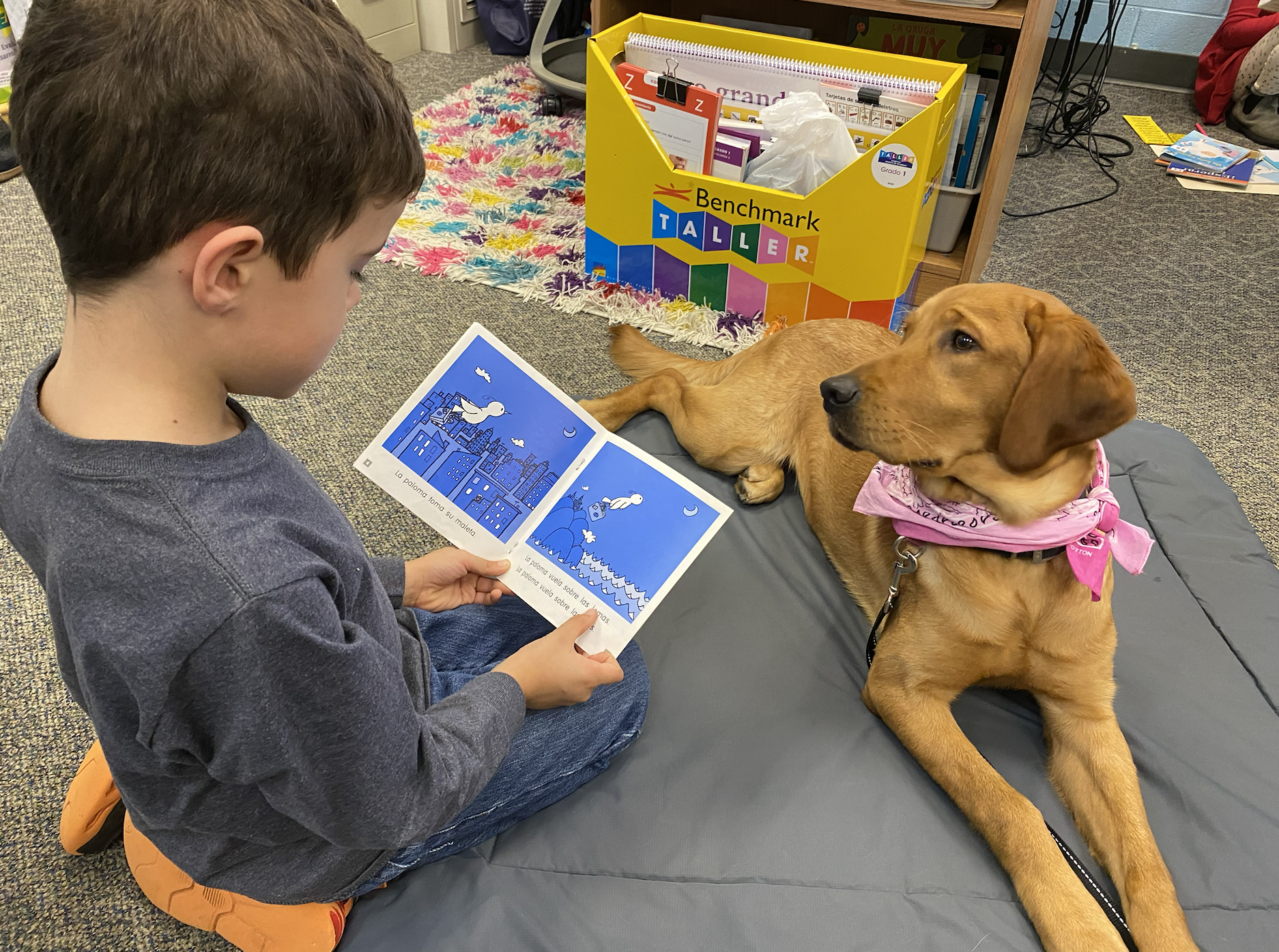 young boy student reading a book to therapy dog