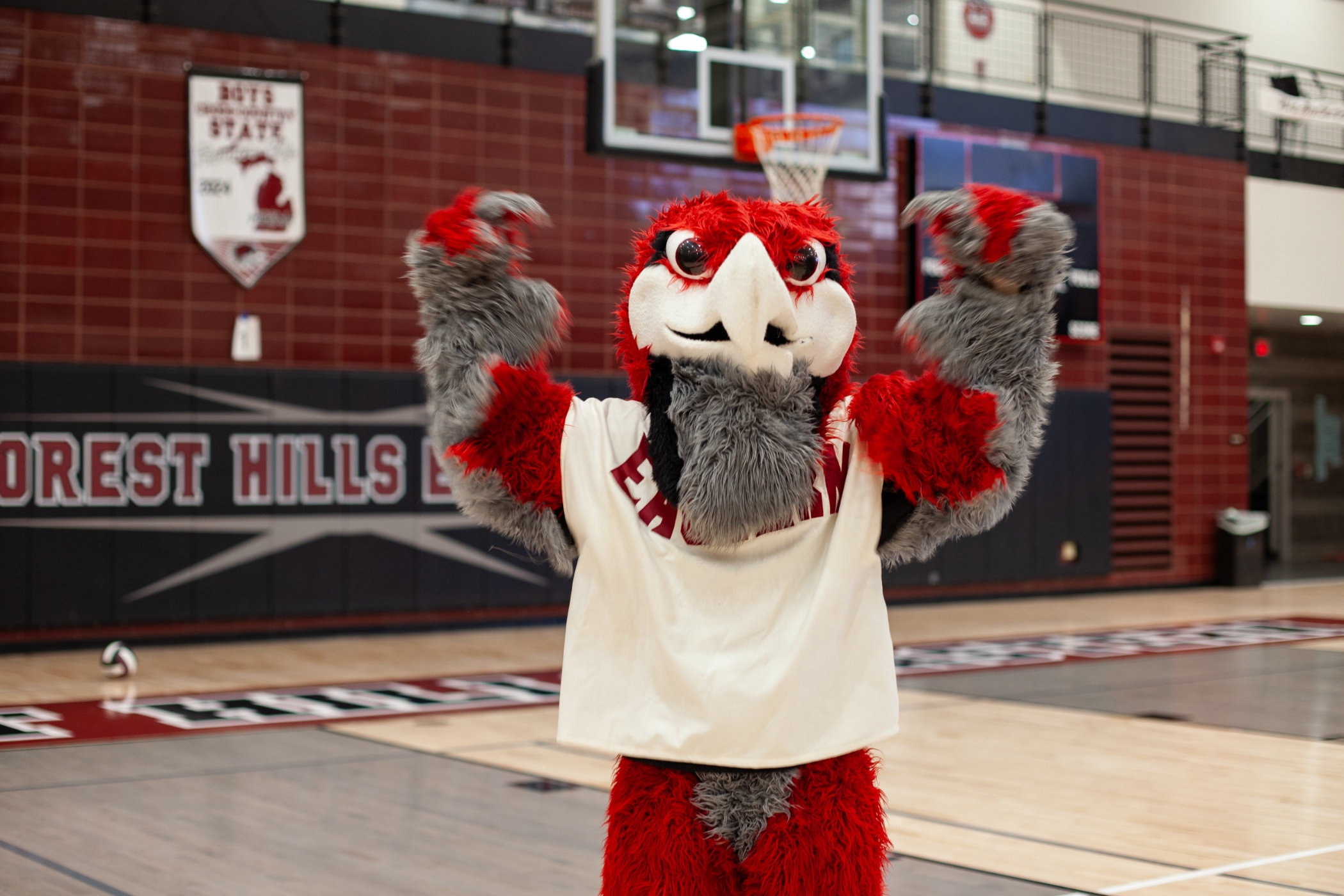 forest hills eastern mascot in a gym