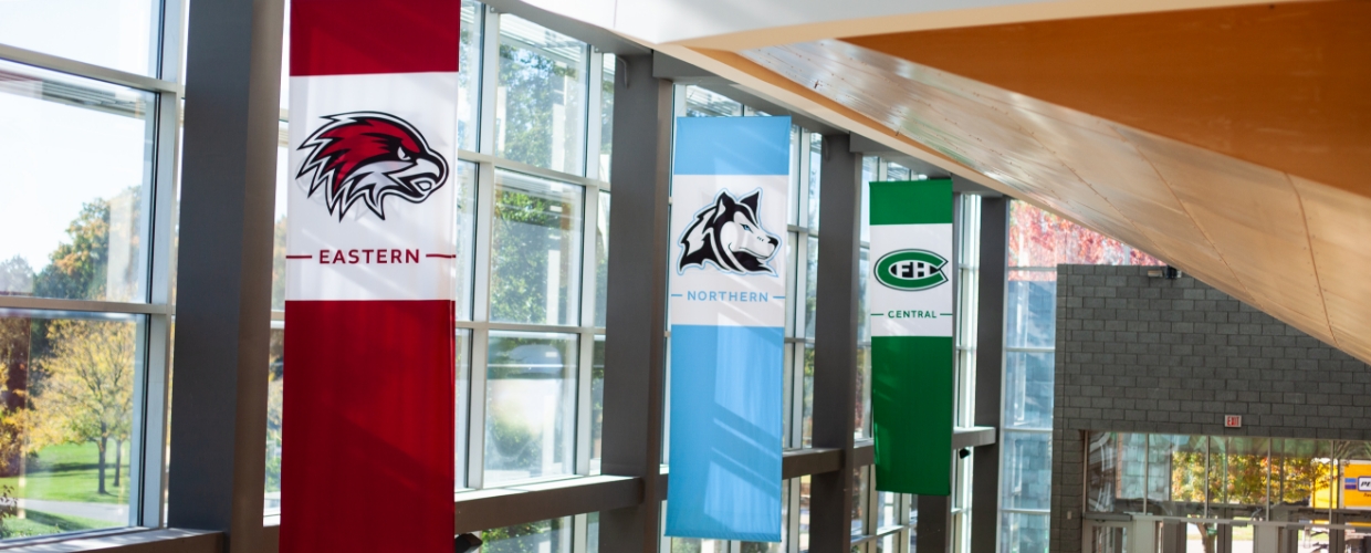 northern, eastern, and central banners hung up