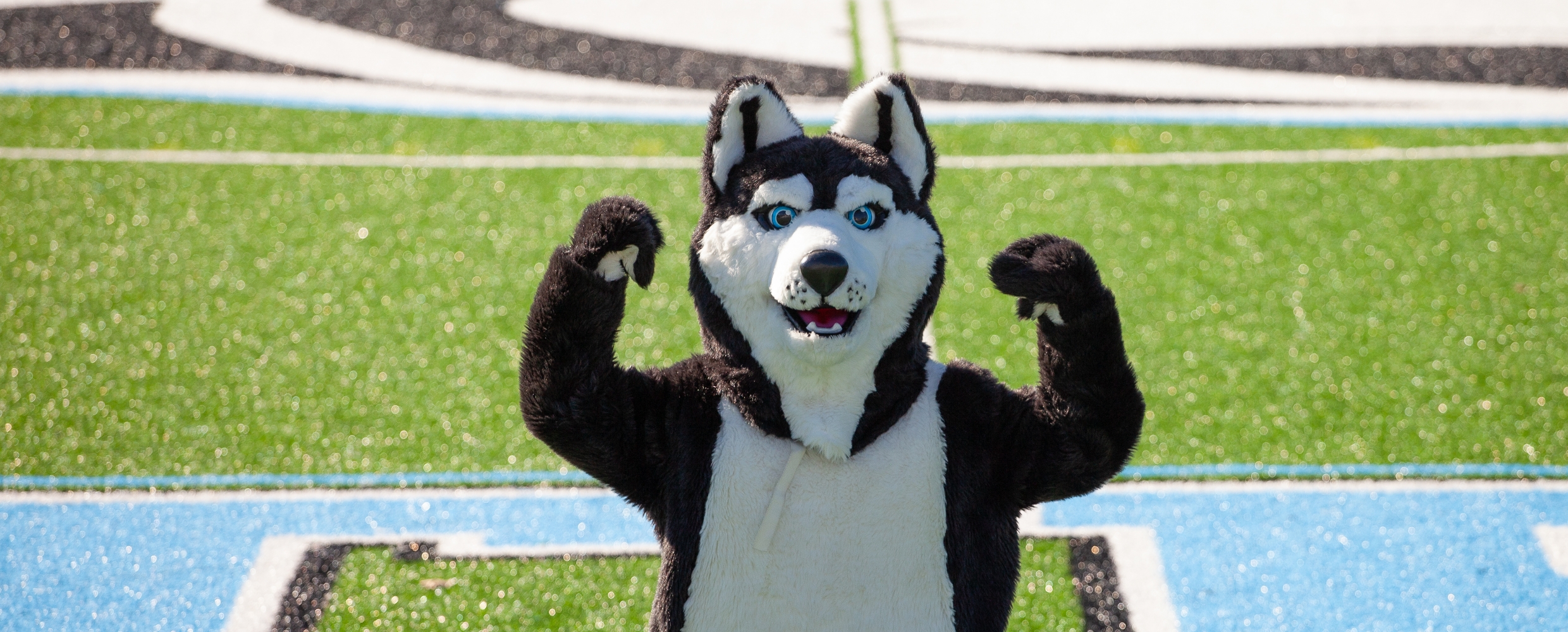 forest hills northern mascot on field