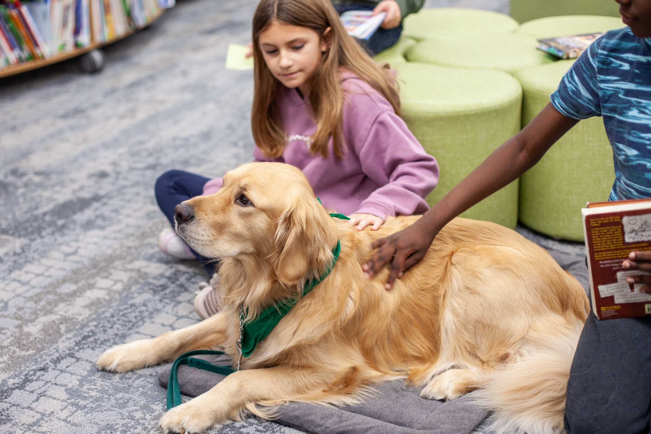 students petting a service dog