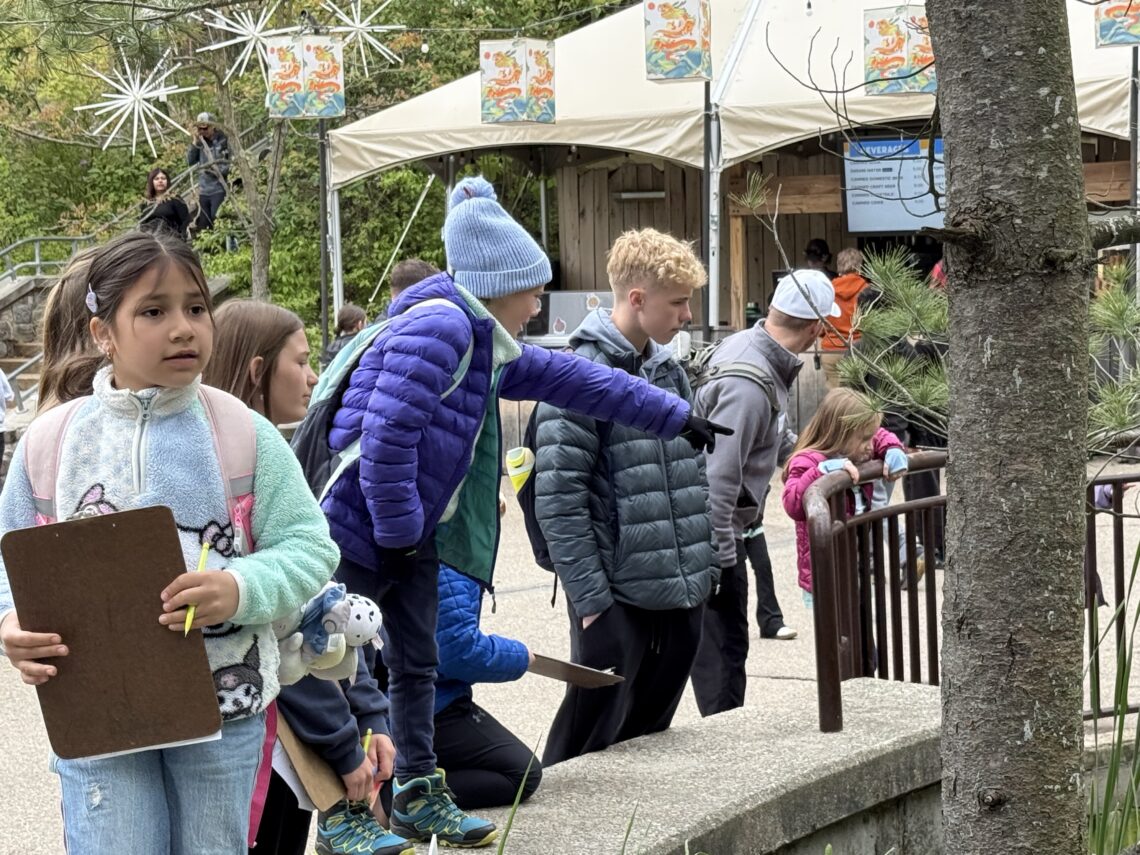 students point to something interesting in an animal habitat at the zoo