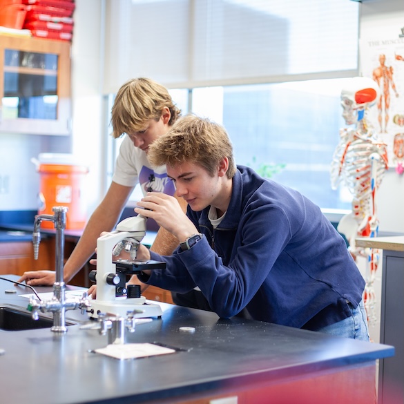 two male students using a microscope