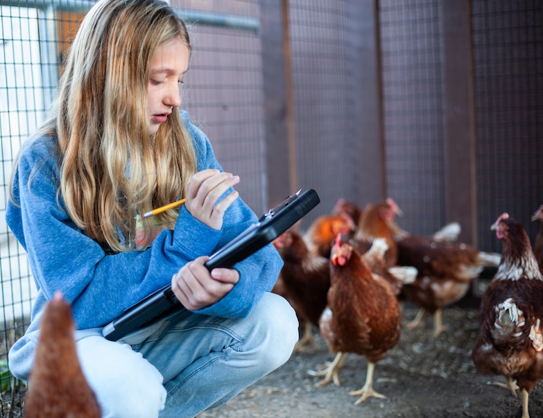 student with clipboard in a chicken coop