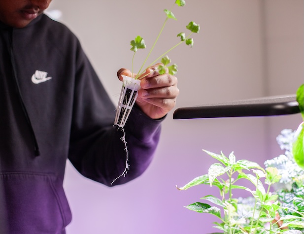 student holding a plant in a dirt capsule