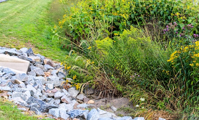 stormwater run off