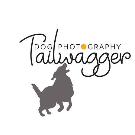 tailwagger dog photography logo